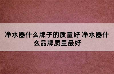 净水器什么牌子的质量好 净水器什么品牌质量最好